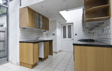 Carrickmore kitchen extension leads